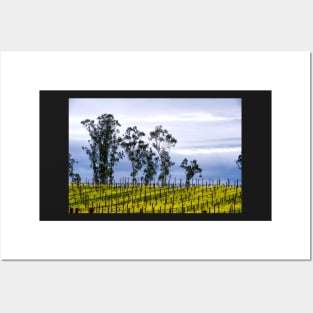 Lush Vineyards Posters and Art